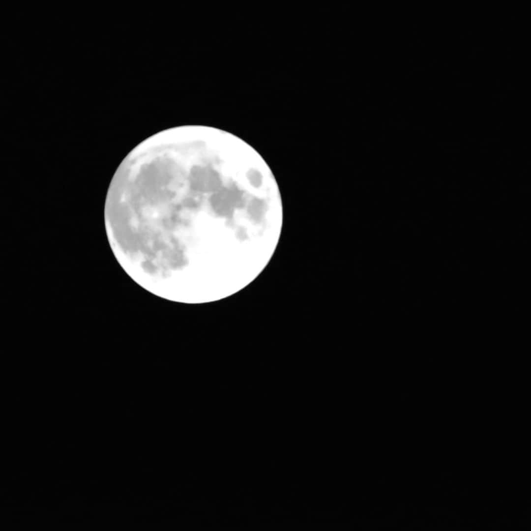 牧野誠三のインスタグラム：「初めて、望遠レンズで撮りましたが、やはりまだ初心者。満月に、上達の願いを込めて。」