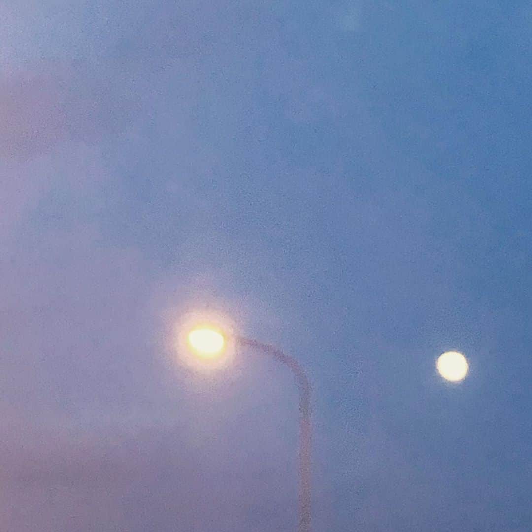 新井恵理那さんのインスタグラム写真 - (新井恵理那Instagram)「きのう、お墓参りドライブで(o^^o) まんまるお月さまが空の低いところにポンと浮かんでて、道を照らしていました…♪(・∀・) なんだか和みました♪ ではおやすみなさい♪ #月 #新井恵理那 #centforce」8月3日 22時09分 - elina_arai