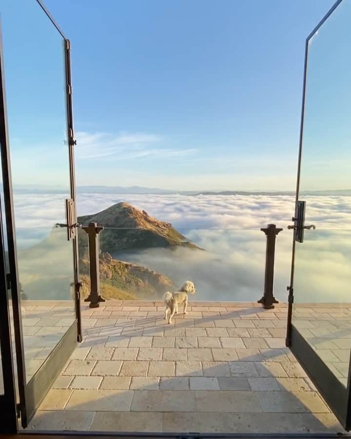 bestvacationsのインスタグラム：「Who’d you enjoy this view with? Malibu, California. By @maliburockyoaks Fun Fact! This is where we got married 🥰」