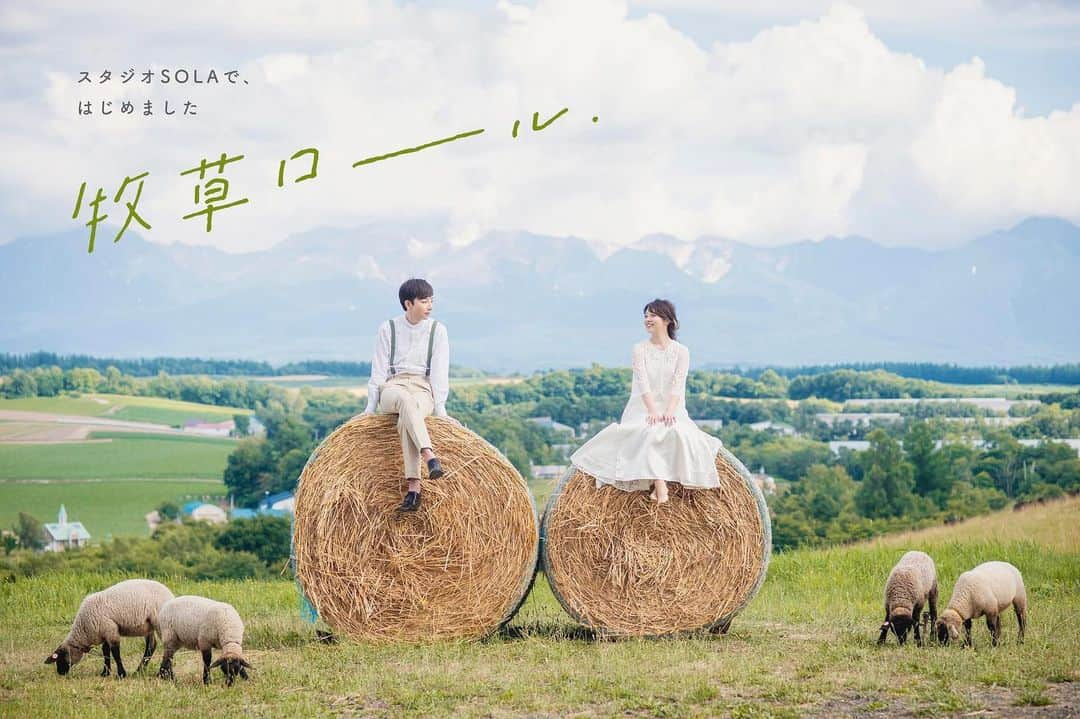 STUDIO SOLAさんのインスタグラム写真 - (STUDIO SOLAInstagram)「【牧草ロール、はじめました。】﻿ スタジオSOLA限定プラン🐏﻿ ﻿ 今すぐお問い合わせを！﻿ ﻿ \\オンライン相談会はじめました//﻿ ご予約はプロフィール欄のホームページリンクから✨﻿ ﻿ ﻿ ﻿ ﻿ ﻿ #パッチワークの丘  #STUDIOSOLA﻿ #スタジオソラ ﻿ @decollte_weddingphoto @decollte_weddingstyle @d_weddingphoto_jp﻿ #weddingphoto  #instagood #結婚式前撮り #新婚旅行 #チェリフォト #北海道旅行﻿ #富良野 #北海道前撮り#牧場 #ロケーションフォト #tokyo_camera_club #前撮り#東京カメラ部﻿ #weddingdress #prewedding #写真好きな人と繋がりたい #ひまわり畑  #ラベンダー  #ウエディングヘア﻿ #wedding #結婚写真 #前撮り #プレ花嫁#卒花嫁 #日本中のプレ花嫁さんと繋がりたい #結婚式﻿ #結婚式準備」8月3日 22時18分 - studiosola_hokkaido