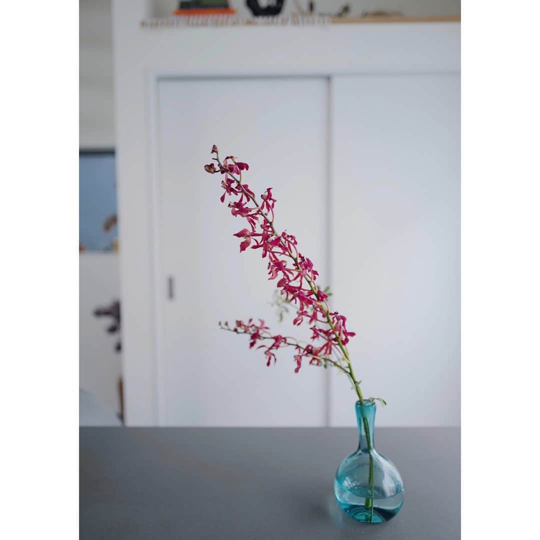 土井地恵理子さんのインスタグラム写真 - (土井地恵理子Instagram)「・ なんだか気分が落ちてた先週。 届けてもらったお花に救われた❤︎ こんなに気分が変わるとは✨ お花のpowerを感じた。 ・ 梅雨も長かったし しばらくお花買いに行けてなくて。 デリバリーはほんとありがたかった！ ・ ・ だいぶいろんなデリバリーが定着しつつあるけど こういうのも利用して 少し生活が楽になったり 豊かになったりしたらいいよね。 ・ ・ 可愛いお花ありがと💐 @charbatake  ・ ・ #flower #お花のある暮らし #delivery #デリバリー #home #myhome #lifestyle #ライフスタイル #d_home」8月3日 22時28分 - ericodoiji