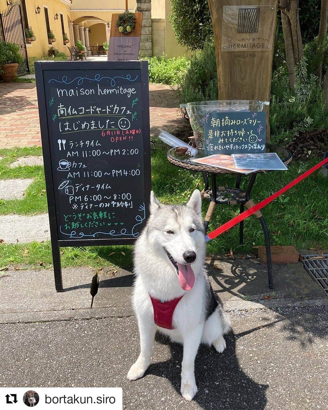 メゾン エルミタージュのグルメインスタ