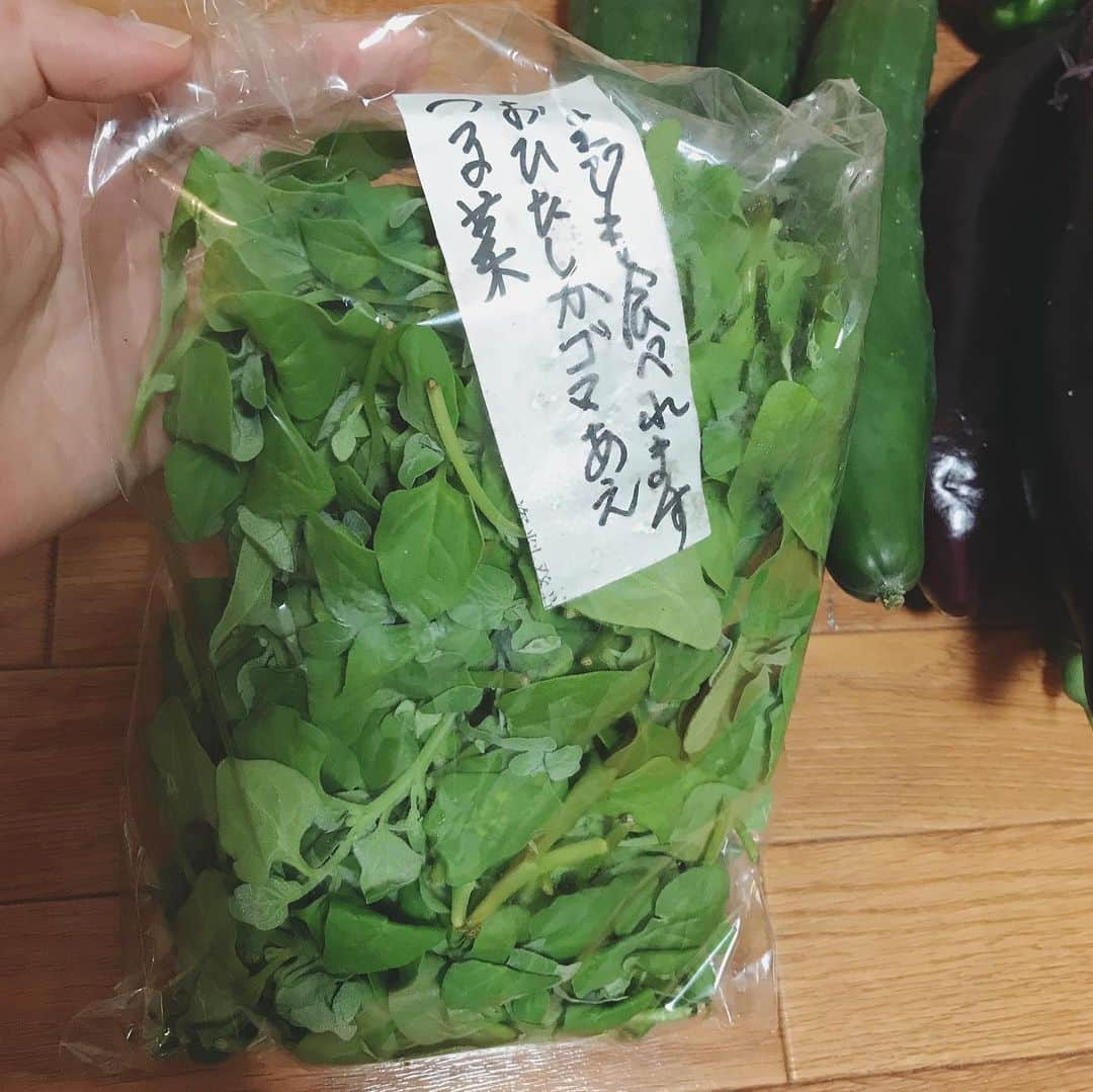 大湯みほさんのインスタグラム写真 - (大湯みほInstagram)「……… やったー🙌フレッシュな夏野菜い〜っぱい(๑˃̵ᴗ˂̵)✨ ・ お友達のご実家で作った、オーガニック野菜いっぱいいただきました😊お米ももらったよ❗️ ・ ぬか漬けはもちろん…美味しい野菜だからこそ、どんなお料理作ろうかワクワクです💓水々しい新鮮なうちだからこそ…生もいいし、どう調理するか🤔はほんと楽しみだな❗️ ・ #vegetable #organic #healthy #summervegetable #新鮮野菜 #オーガニック野菜　#糠漬け #ぬか床　#ぬか床アドバイザー　 #糠漬けマイスター　#大湯みほ」8月3日 22時42分 - nukazukemiho0320