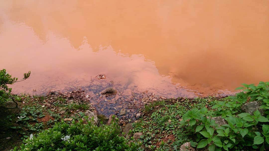 松坂南さんのインスタグラム写真 - (松坂南Instagram)「こちらは、大分❤️  #血の池地獄  #地獄めぐり👹♨️   大分も人が優しくて温泉いっぱいあって、大好きな場所。  コロナ禍が終わったらまたいろいろ行きたいなー🎵」8月3日 23時24分 - minami_matsuzaka