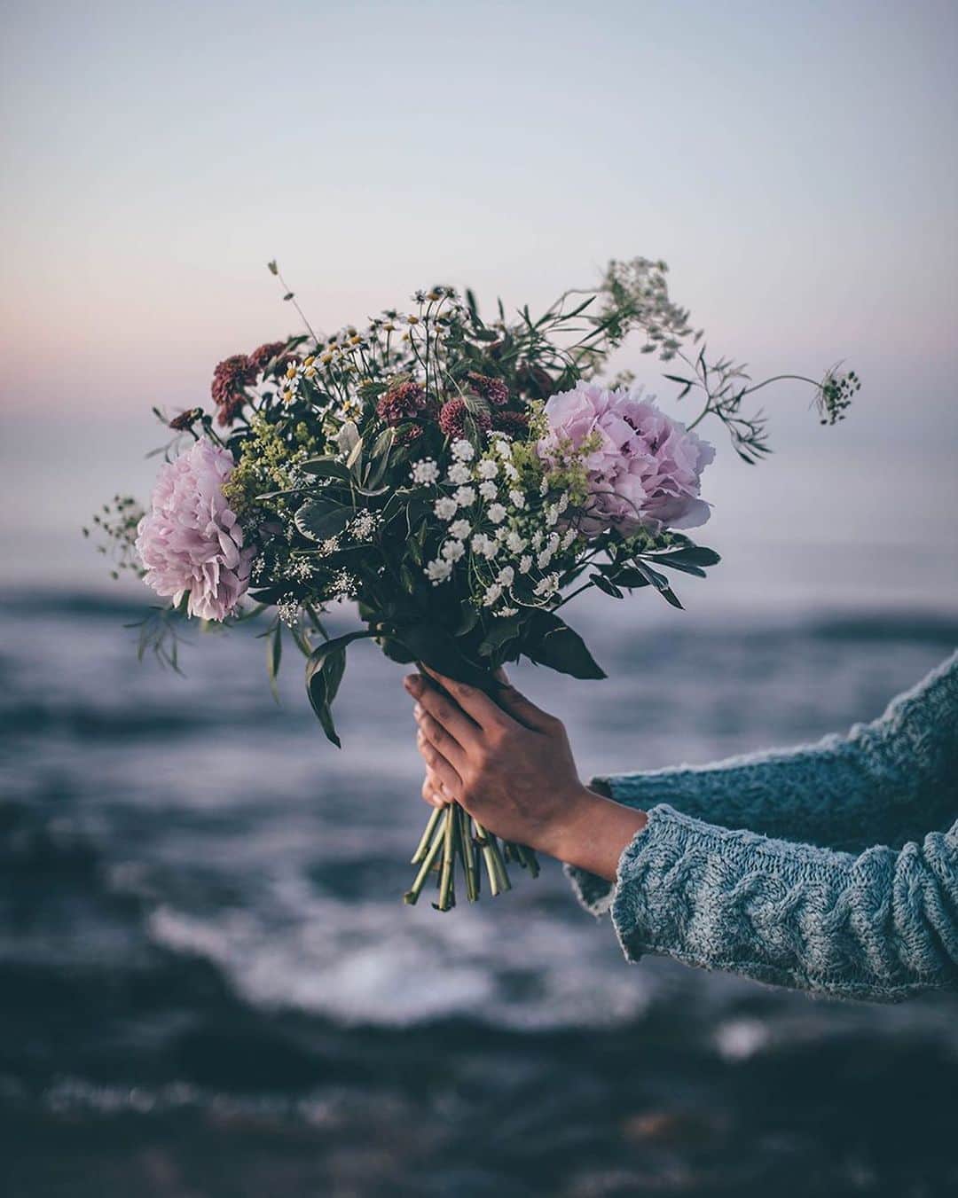 Our Food Storiesさんのインスタグラム写真 - (Our Food StoriesInstagram)「Flowers at the sea 💫 Have a good start into the new week guys! #ourfoodstories_travel  _____ #visitsweden #visitskane #flowerphotography #flowerlovers #vscoflowers #vscoedit #fellowmag #verilymoment #summerfeeling #simplejoys #blooooms」8月3日 23時18分 - _foodstories_