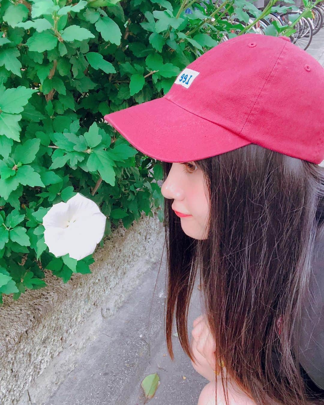 川添りなさんのインスタグラム写真 - (川添りなInstagram)「2年くらい前の写真🌼.*お花って癒されるよね〜。 #写真 #お花 #綺麗 #白 #帽子 #赤？ #instanttattoo  #instalike  #instagram  #instapic  #instalove  #flower #White #cap」8月4日 0時09分 - zorina_522