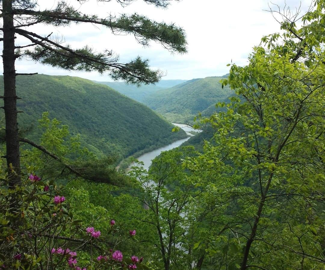 アメリカ内務省さんのインスタグラム写真 - (アメリカ内務省Instagram)「From the heights above, New River Gorge National River in #WestVirginia looks peaceful and serene. So, why do you often hear shouts and screams echoing around the forested hillsides? Because this ancient river is big and powerful and an excellent run for people who enjoy #whitewater #rafting. The upper part of the river consists primarily of long pools, and relatively easy rapids, but the lower section has some big rapids ranging in difficulty from Class III to Class V. The #rapids are imposing and forceful, many of them obstructed by large boulders which necessitate maneuvering in very powerful currents and crosscurrents. If that sounds like a little too much excitement, don't forget, the park also offers some great places to hike, fish and camp. Photo by National Park Service. #usinterior #RecreateResponsibly」8月4日 0時20分 - usinterior