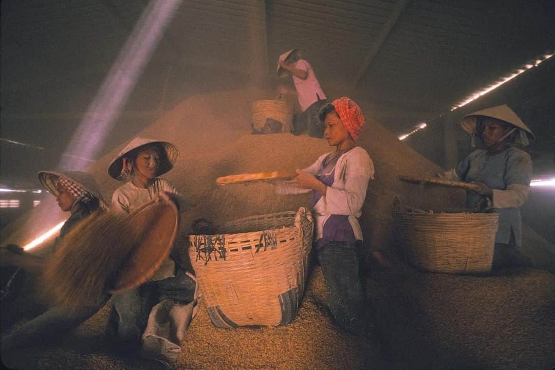 Michael Yamashitaさんのインスタグラム写真 - (Michael YamashitaInstagram)「At a rice mill in the heart of Vietnam’s”rice basket,” women and children collect bran to sell as animal feed. The factory allows villagers who also use the husks for cooking fires, to haul away these waste products from the rice polishing process for free. #mekongdelta #rice #ricebran #vietnam   From the book “Mekong: A Journey on the Mother of Waters”. A limited number of  signed copies of this out of print book are available to purchase from our website michaelyamashita.com or the link in our profile.」8月4日 0時49分 - yamashitaphoto