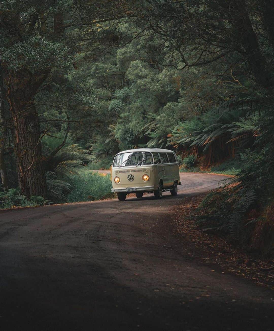 Canon Photographyさんのインスタグラム写真 - (Canon PhotographyInstagram)「Anyone for a road trip? Photography // @tomnoske  Curated by @henry.nathan  #vw #camper #forest #australia」8月4日 1時11分 - cpcollectives