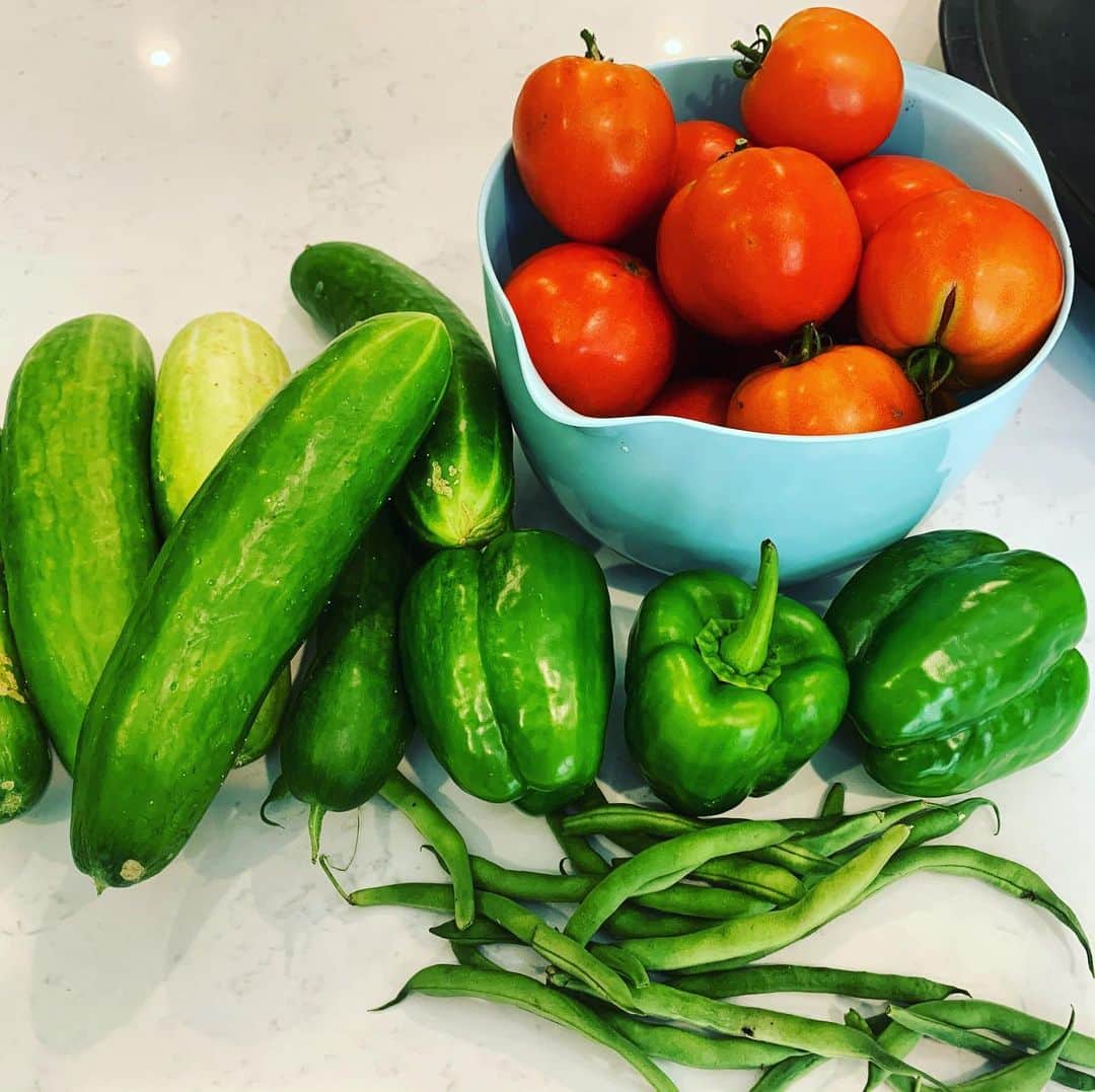 Jessie Jamesさんのインスタグラム写真 - (Jessie JamesInstagram)「Fresh from Eric‘s garden. What should I make with these beautiful vegetables today? Any ideas? 👇」8月4日 1時19分 - jessiejamesdecker