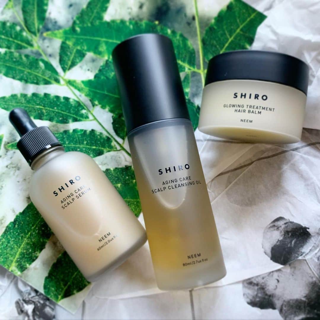のインスタグラム：「【SHIROから今週発売】 高い生命力を持つ熱帯の植物🌿ニームのエイジングケアラインにヘアケアシリーズが登場。頭がスッキリして本当〜に気持ちがいいのですが、使う日の頭皮の状態によって使用感が変わり、いわば頭皮のバロメーターになるというユニークなアイテムなんです🤗﻿ ﻿ 🌿左・ニーム頭皮セラム 60mL ￥6800﻿ ニーム、亜麻、カンゾウなどを配合した頭皮用のセラムは、洗髪後に。ジンジャー成分によるピリッ⚡️とくる刺激があって、マッサージするとやがて頭皮がポカポカというか、ジンジンというくらいの温感に。この刺激、決して悪いものではなく、頭皮が乾燥していたり、敏感に傾いているときこそ強く感じ、自分ではわかりにくい頭皮の状態を知ることができるんです。サロンで「頭皮乾燥してますね」なんて、言われた経験があれば、ぜひ試して欲しい。使い続けることで頭皮環境が整い、やがてこの刺激が少しずつ柔らかくなっていきます。﻿ ﻿ 🌿中・ニーム頭皮クレンジングオイル 80mL ￥5500﻿ こちらはシャンプー前に使う頭皮のためのクレンジングオイル。毛穴つまり、フケ、乾燥などのトラブルをケアし、植物成分たっぷりのオイルが頭皮に栄養を与えてくれる。マッサージ後に少量のお湯を足すと小さく泡立つのですが、皮脂などで汚れている状態だと泡立ちが少ないんです。だから、泡立ちがよくなってきたら頭皮環境が改善されてきた証拠！﻿ ﻿ 🌿右・ニームヘアバーム 40g ￥3800﻿ スタイリングだけでなく、寝る前のアウトバストリートメントとしても使えるリッチなバーム。肌にも使えるので、フェイスラインに毛先が触れても安心なんです。くせづけや束感のあるニュアンスづくりが簡単。ハーバルな香りも最高です❤︎﻿ ﻿ すべて8月6日発売。SHIROオンラインストアでは予約も受付中です😊﻿ ﻿ #SHIRO #シロ #ヘアケア #ニーム #スキンケア #頭皮ケア #ヘアクレンジング #シャンプー #美髪 #トリートメント #コスメレビュー #マキア #マキアオンライン #MAQUIA #MAQUIAONLINE 　WEB編集S」