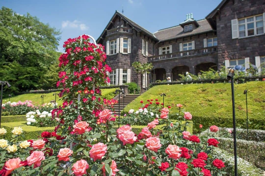 THE GATEのインスタグラム：「【 Kyu-Furukawa Gardens// #Tokyo 】 Built in 1919, Kyu-Furukawa Gardens once belonged to entrepreneur Furukawa Toranosuke before being opened to the public in 1956.  l The area comprises of a Western style garden and building on one half and a Japanese style garden on the other.  l The rose garden of the premises is particularly well known. . ————————————————————————————— ◉Adress 1-27-39 Nishigahara, Kita-ku, Tokyo  ————————————————————————————— THE GATE is a website for all journeys in Japan.  Check more information about Japan. →@thegate.japan . #japanlovers #Japan_photogroup #viewing #Visitjapanphilipines #Visitjapantw #Visitjapanus #Visitjapanfr #Sightseeingjapan #Triptojapan  #粉我 #Instatravelers #Instatravelphotography #Instatravellife #Instagramjapanphoto #flowerphotos  #꽃밭 #TamanBunga #jardindeflores  #explore_floral #Japanesegardens #mawar #玫瑰花 #rosasrosas #장미꽃 #장미축제 #kyufurukawagardens #kyufurukawagarden #kyufurukawa」