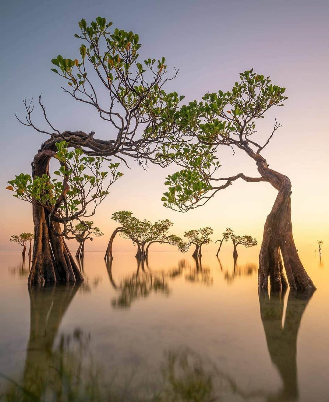 wonderful natureさんのインスタグラム写真 - (wonderful natureInstagram)「Photo by @loicdupuisphoto check out his feed for more」8月4日 3時51分 - awesome.earth