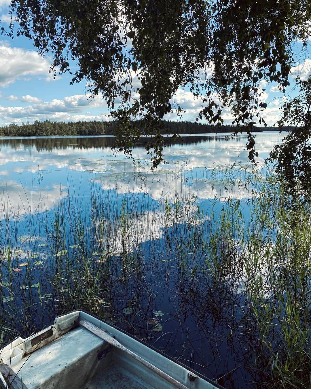 ペニーレ・タイスベックのインスタグラム：「Ultimate nature getaway💙」