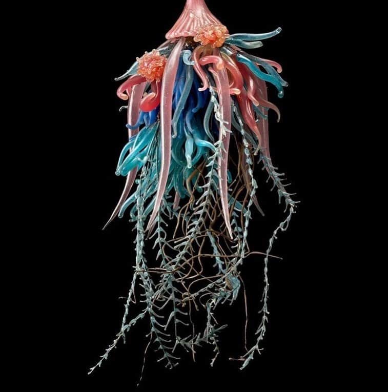 ケイリン・ルッソのインスタグラム：「🧫 glass work by Leopold and Rudolf Blaschka 🧫」