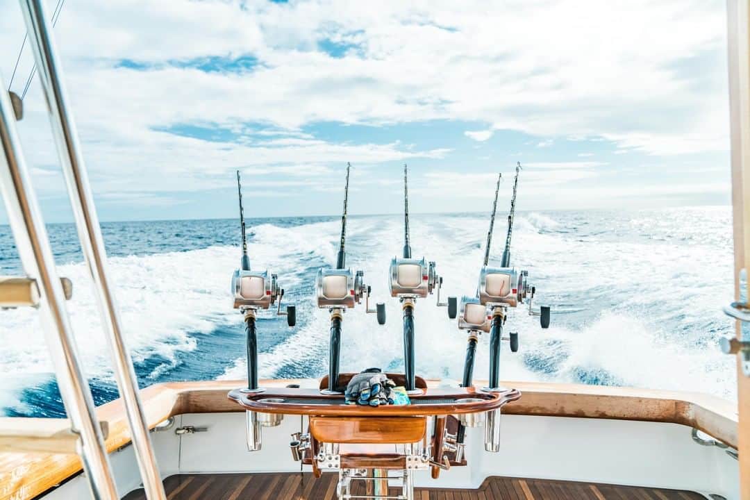 Costa Sunglassesのインスタグラム：「Starting lineup. #SeeWhatsOutThere #BornOnTheWater」