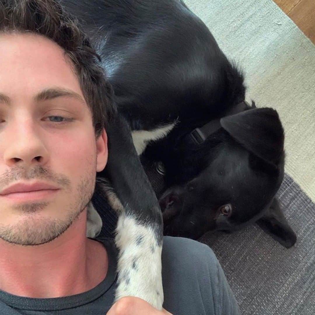 Amazon Videoさんのインスタグラム写真 - (Amazon VideoInstagram)「What we wouldn't give to live a day as Logan Lerman's dog」8月4日 7時00分 - primevideo