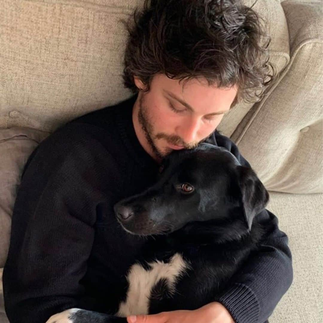 Amazon Videoさんのインスタグラム写真 - (Amazon VideoInstagram)「What we wouldn't give to live a day as Logan Lerman's dog」8月4日 7時00分 - primevideo