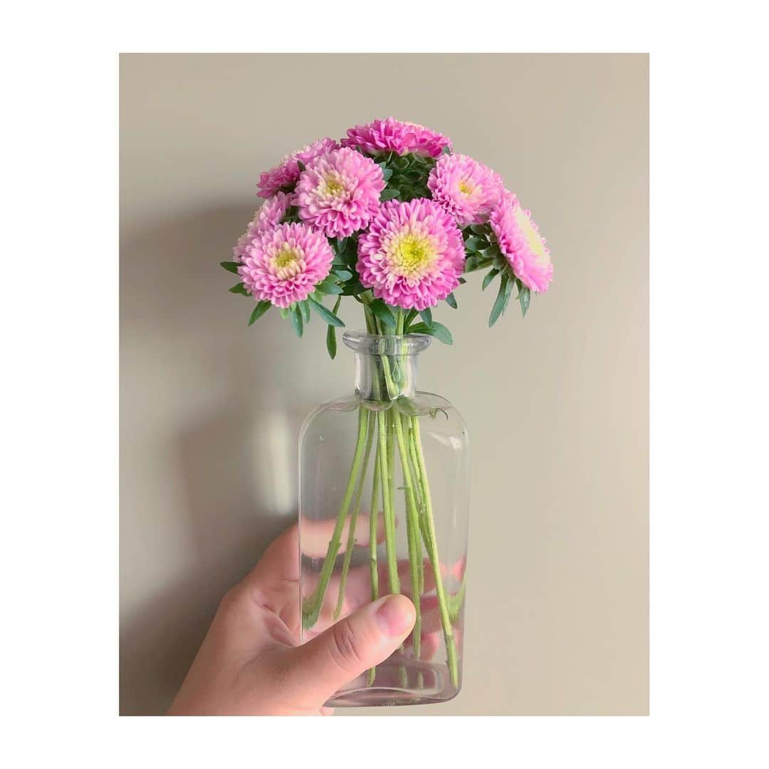 のインスタグラム：「#1000hana ❁✿✾ ✾✿❁︎ #aster#flowers#アスター#花」