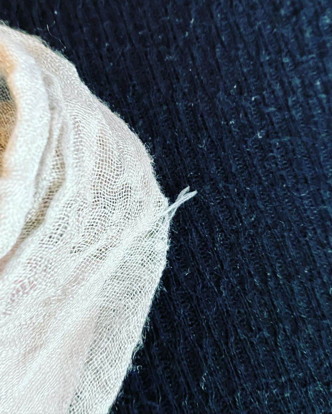 海保知里さんのインスタグラム写真 - (海保知里Instagram)「お気に入りのストールのタグが取れたので縫っていたら、自分のレギンスに縫い付けていた。く。すぐ気づいてよかった、としよう😁 #時を戻そう #海保知里」8月4日 7時21分 - chisato_kaiho