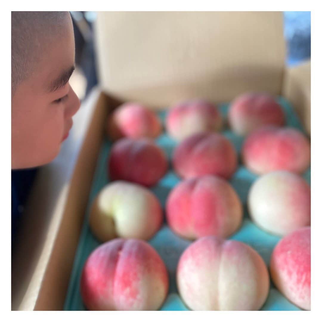 岡本安代さんのインスタグラム写真 - (岡本安代Instagram)「▶︎桃だーーーー！ じっじ！ばーたん！ ありがとうございます！ 長野からの夏のプレゼント！ 👉水菓子は贅沢品！ 👉開口一番『美味しそう』でなくまさかの『かわいい』 👉坊主の気持ちはもはや親心か？( ・∇・)！  . #桃 #旬 #果物 #夏の思い出 #あるある#子育て#食育#ママ #アナウンサー #お弁当 #５人の子育てママウンサー#岡本安代#ブログ #走り続ける岡本家」8月4日 12時57分 - okamoto.yasuyo
