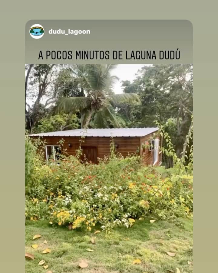 ジョーダン・ノルベルトのインスタグラム：「😍😍🦚 @dudu_lagoon está a tan solo 2 kilómetros de nuestra @haciendavistalinda aquí lo tienes todo」