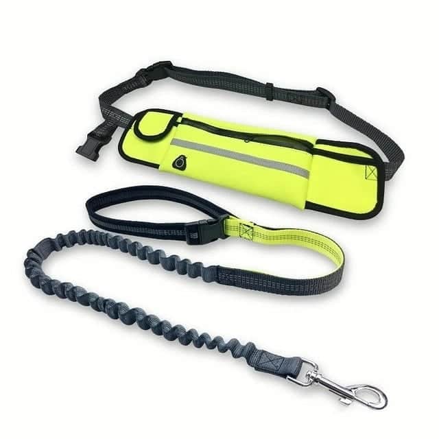 Insta Outfit Storeさんのインスタグラム写真 - (Insta Outfit StoreInstagram)「Hands-Free Dog Leash for Medium and Large Dogs 🐶  The leash have two durable neoprene padded handle for comfort and easy to grab.Waterproof zippered main pocket to protect your phone/cash/cards.  Free Shipping Worldwide 🌎  Website Link ⤵ ________________________ petgroomingzone.com ________________________ #Product link in bio ✨  #dog #dogs #handsfree #dogleash #mediumdog #largedog #neoprene #waterpoofzippered ##dogproduct #protectphone #protectcards #runningwithdog」8月4日 8時07分 - instaoutfitstore
