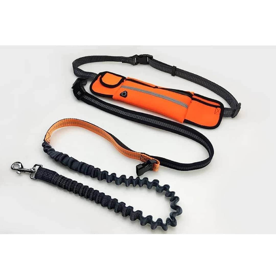Insta Outfit Storeさんのインスタグラム写真 - (Insta Outfit StoreInstagram)「Hands-Free Dog Leash for Medium and Large Dogs 🐶  The leash have two durable neoprene padded handle for comfort and easy to grab.Waterproof zippered main pocket to protect your phone/cash/cards.  Free Shipping Worldwide 🌎  Website Link ⤵ ________________________ petgroomingzone.com ________________________ #Product link in bio ✨  #dog #dogs #handsfree #dogleash #mediumdog #largedog #neoprene #waterpoofzippered ##dogproduct #protectphone #protectcards #runningwithdog」8月4日 8時07分 - instaoutfitstore