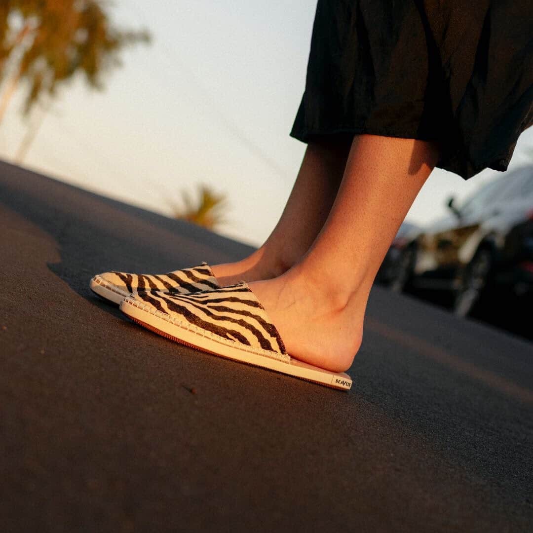 シービーズのインスタグラム：「You’ve earned your stripes. Now wear them proud with our Lido Slide in Zebra.⁣」