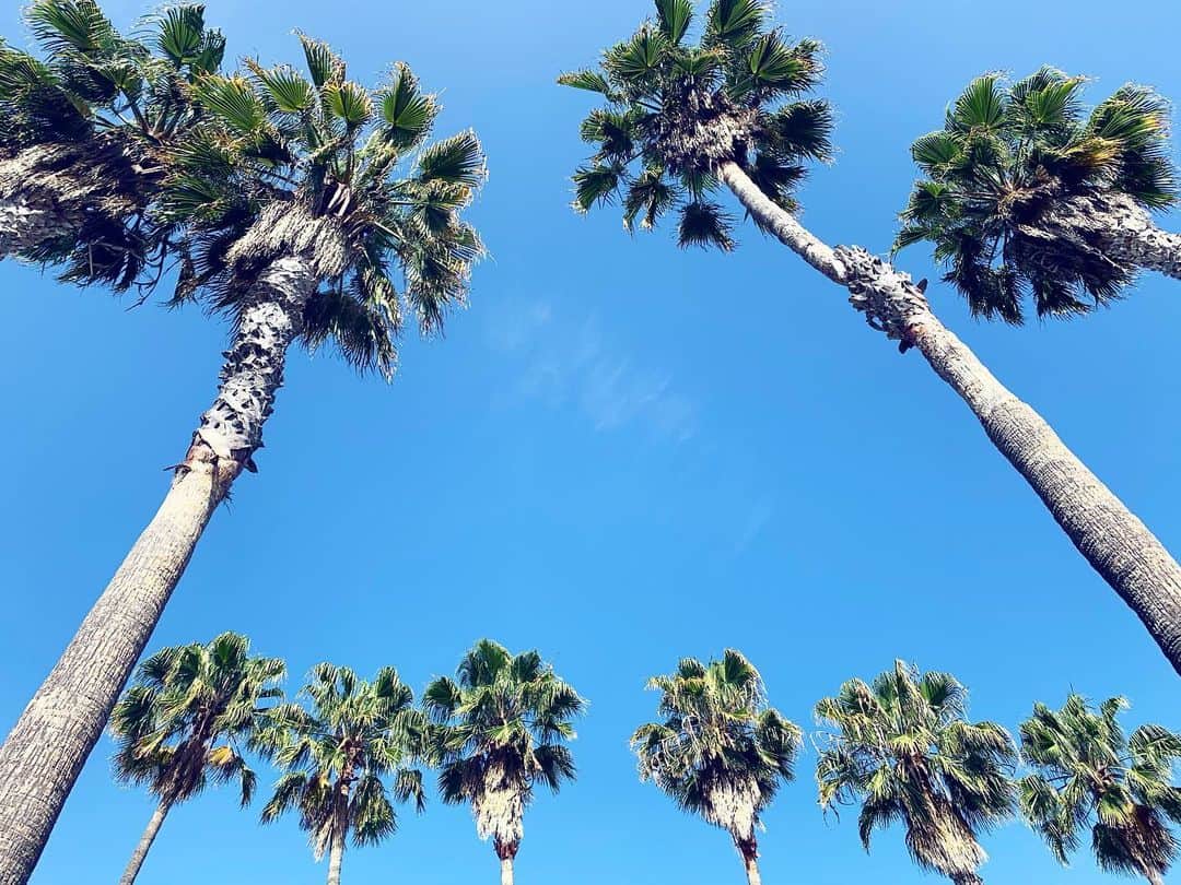 高木りなのインスタグラム：「Hello August🌴💙🌴💙🌴 . . #august #summer #losangeles #california」