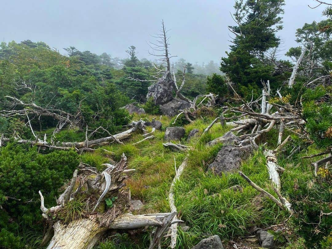 リア・キムさんのインスタグラム写真 - (リア・キムInstagram)「⛰」8月4日 10時21分 - liakimhappy