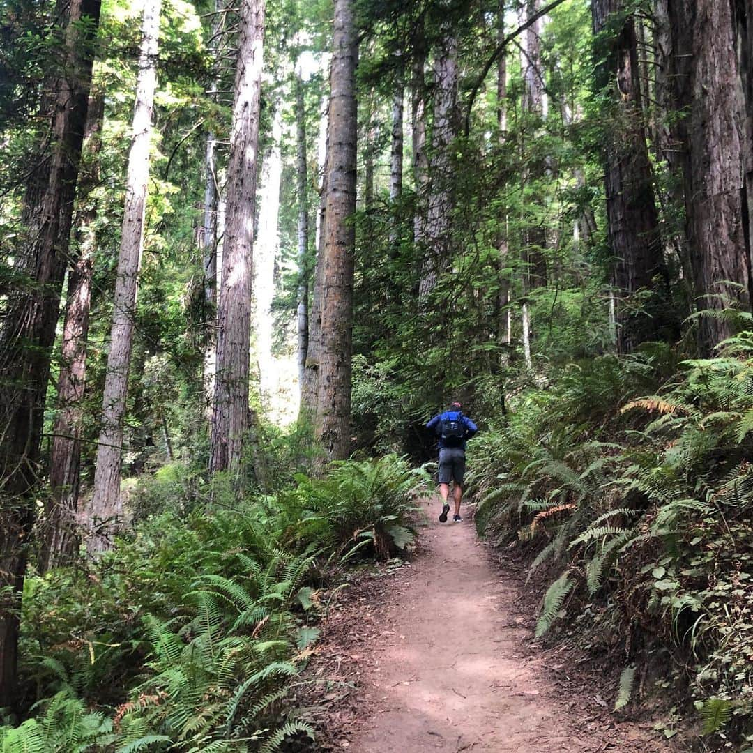 ネイサン・エイドリアンさんのインスタグラム写真 - (ネイサン・エイドリアンInstagram)「Take me back to our weekend getaway @halpal12 !  So glad to get out of the house and experience beautiful Mendocino County this past weekend. Getting away from the (oddly quiet) city life was good for the soul! Now back to the grind 🏊‍♂️ 🏋️‍♀️ 🍽 😴.」8月4日 10時25分 - nathangadrian