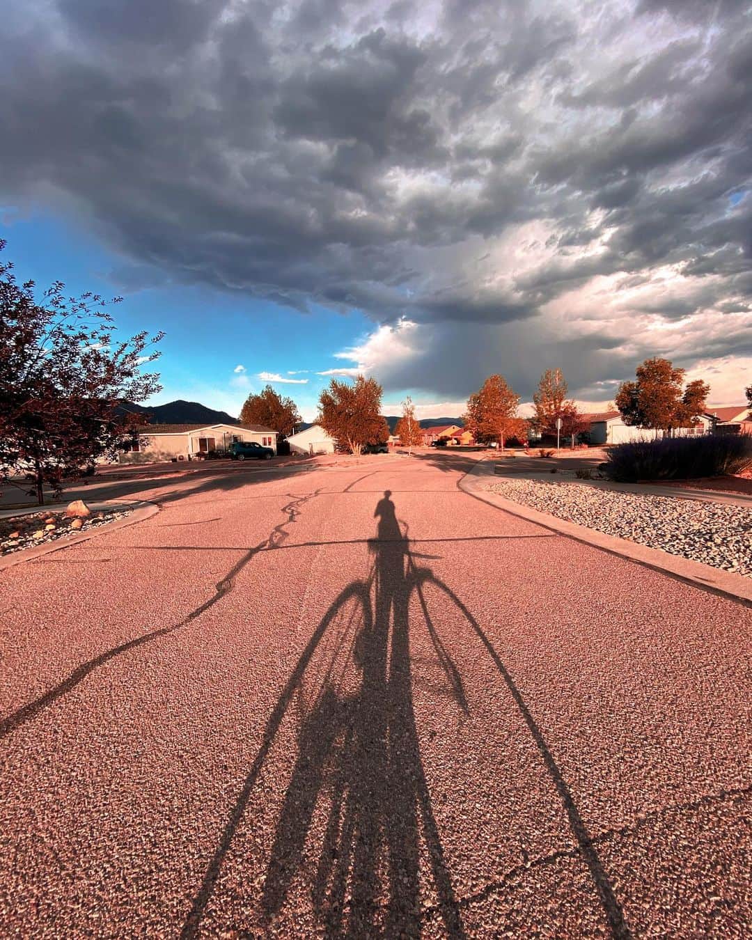 Robert Bingamanのインスタグラム：「Nothing quite like the sun to remind you of how tall, dark, and one-speed you are.」