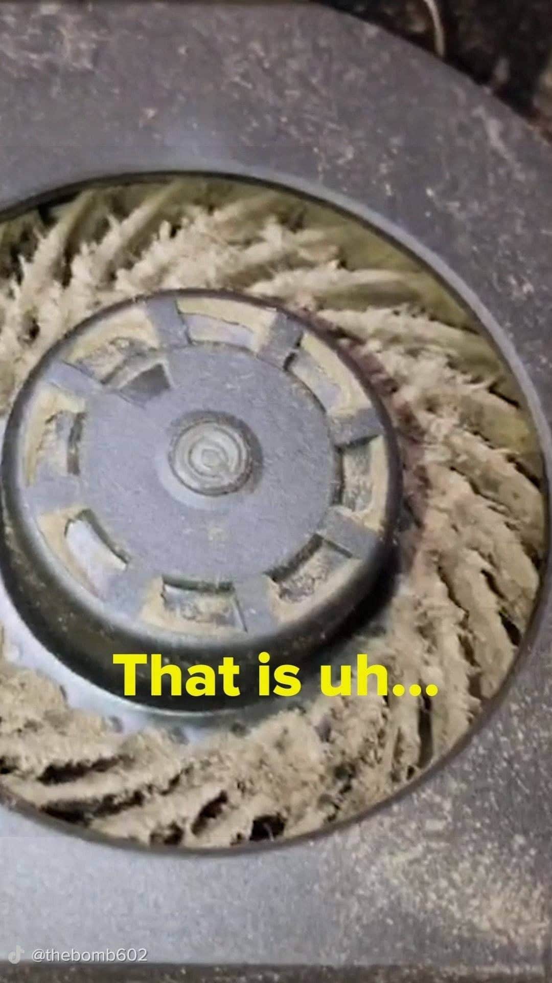 BuzzFeedさんのインスタグラム動画 - (BuzzFeedInstagram)「I'm scared to look inside of