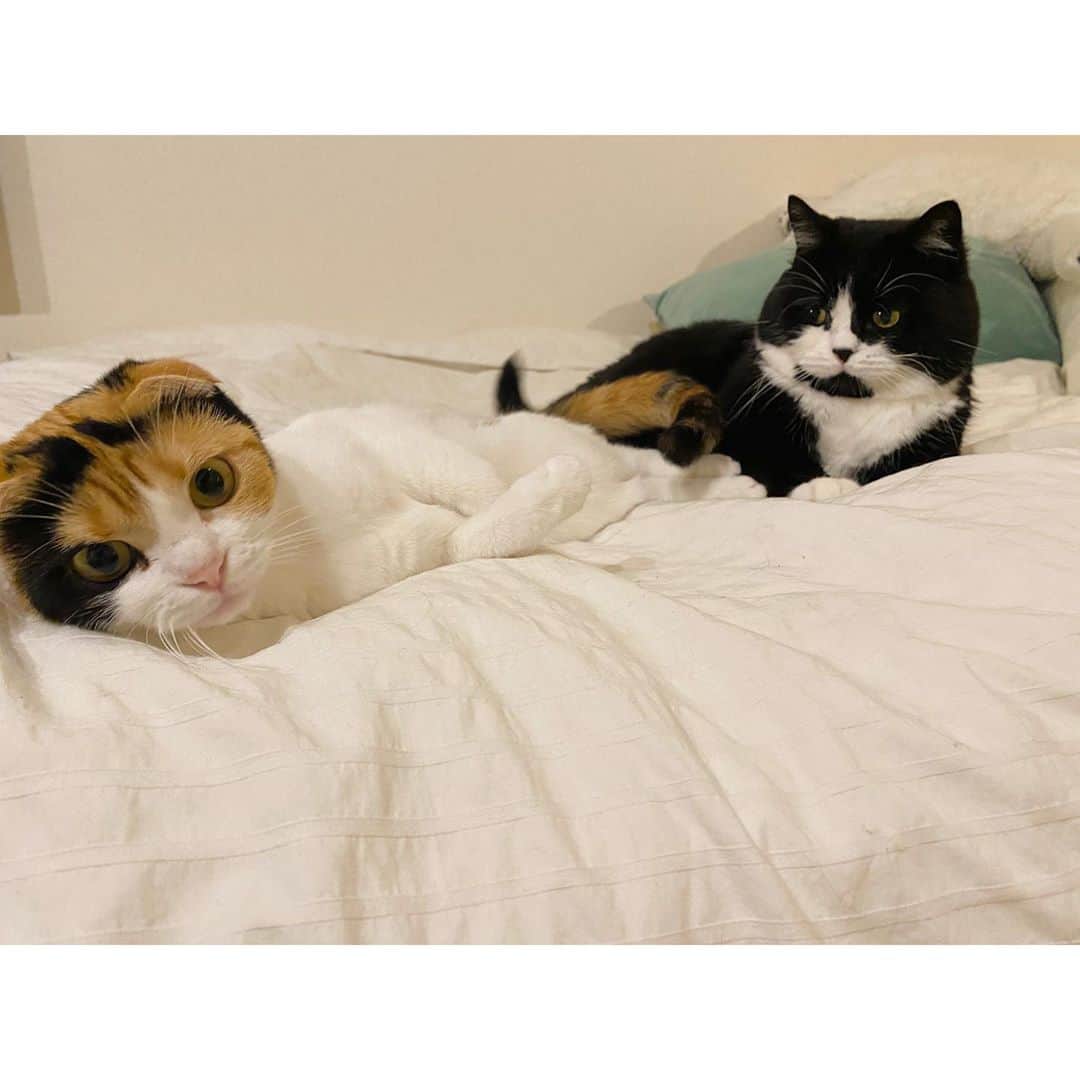 エモン・久瑠美のインスタグラム：「仲良しです❤️ @nowa.nuts」