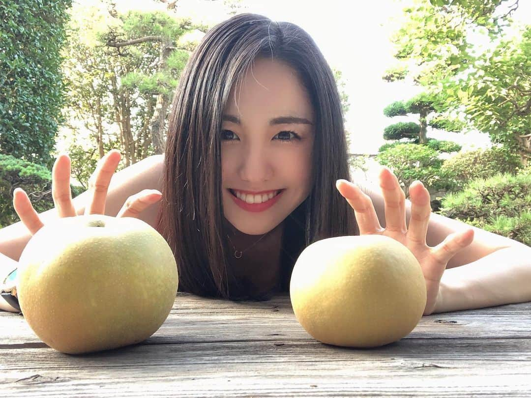 加藤梨里香さんのインスタグラム写真 - (加藤梨里香Instagram)「梨の季節到来です🍐 幸水←ーーーーーー→新水 初もぎは少し前だったのですが、本格的に収穫が始まりました☺︎ . 今採れているのは 幸水、新水、夏しずく、愛甘水、若光 です🍐🍐🍐 . 熱い夏の始まり〜😋✨ . #梨 #梨農家 #梨農家の孫  #幸水 #新水 #夏しずく #愛甘水 #若光  #加藤梨里香」8月4日 21時04分 - ririka_kato_