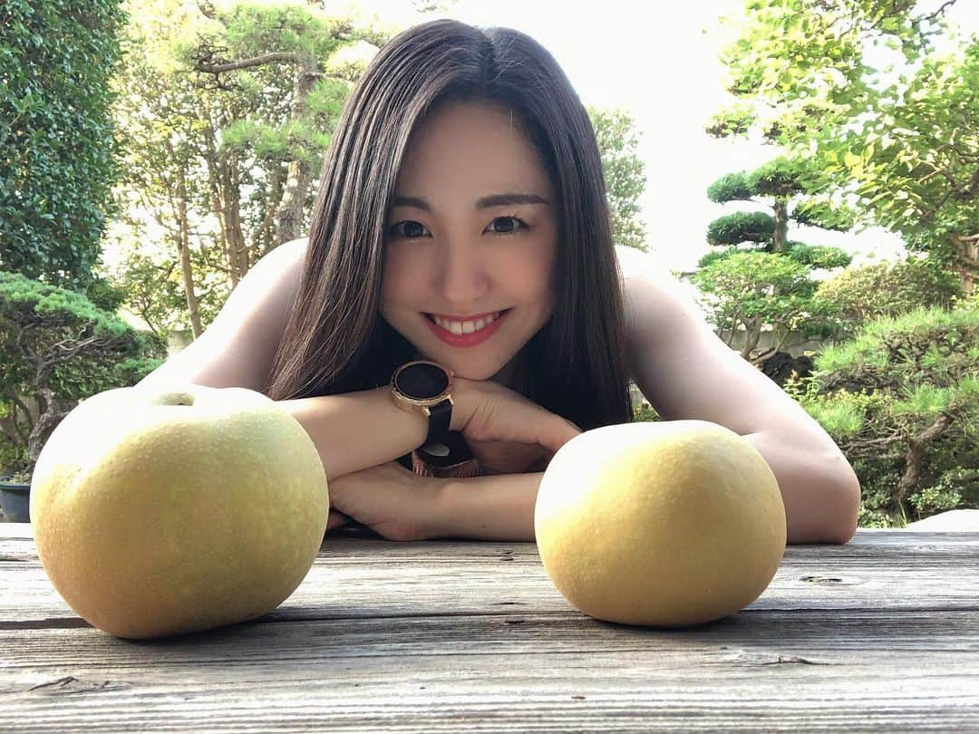 加藤梨里香さんのインスタグラム写真 - (加藤梨里香Instagram)「梨の季節到来です🍐 幸水←ーーーーーー→新水 初もぎは少し前だったのですが、本格的に収穫が始まりました☺︎ . 今採れているのは 幸水、新水、夏しずく、愛甘水、若光 です🍐🍐🍐 . 熱い夏の始まり〜😋✨ . #梨 #梨農家 #梨農家の孫  #幸水 #新水 #夏しずく #愛甘水 #若光  #加藤梨里香」8月4日 21時04分 - ririka_kato_