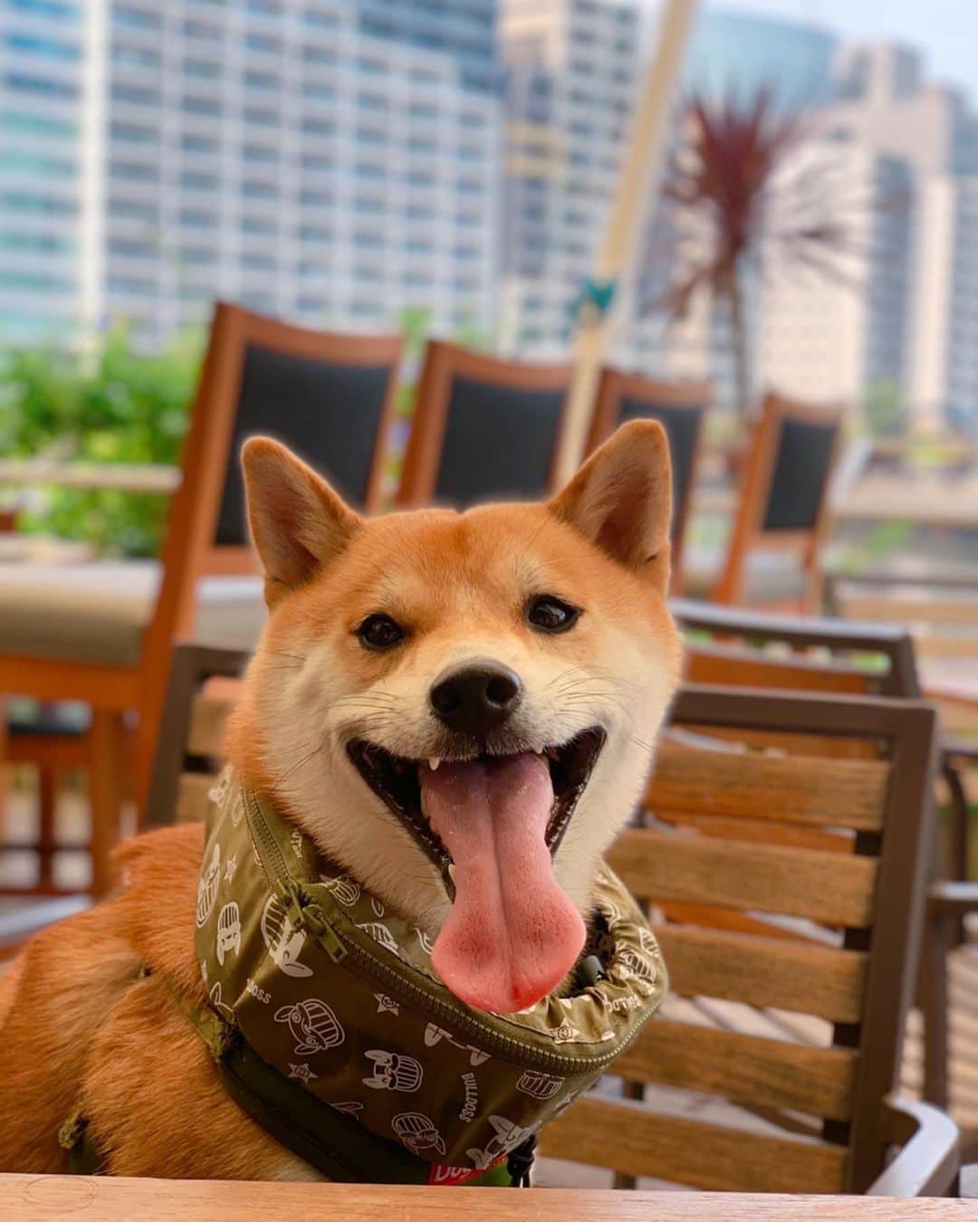 大山加奈のグルメインスタ