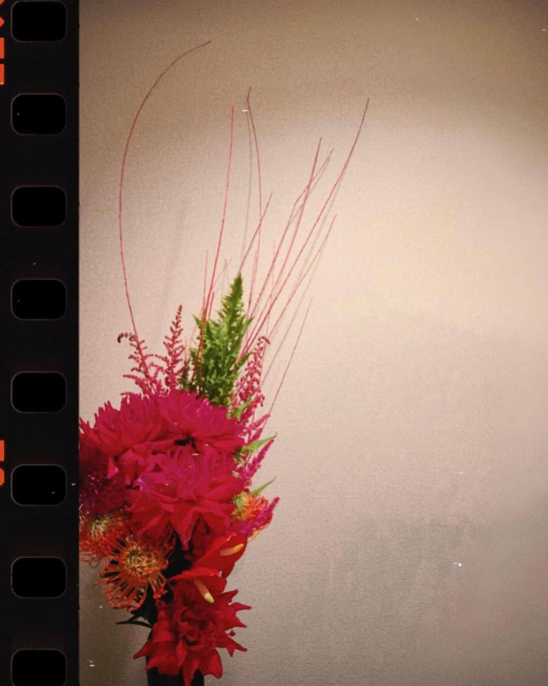 蘭舞ゆうさんのインスタグラム写真 - (蘭舞ゆうInstagram)「❁ ❁ ❁ The memories Flower by @ichihashiko #korean#japan#2020#일상#데일#ranma#actor#flowers」8月4日 13時33分 - ranma_yu
