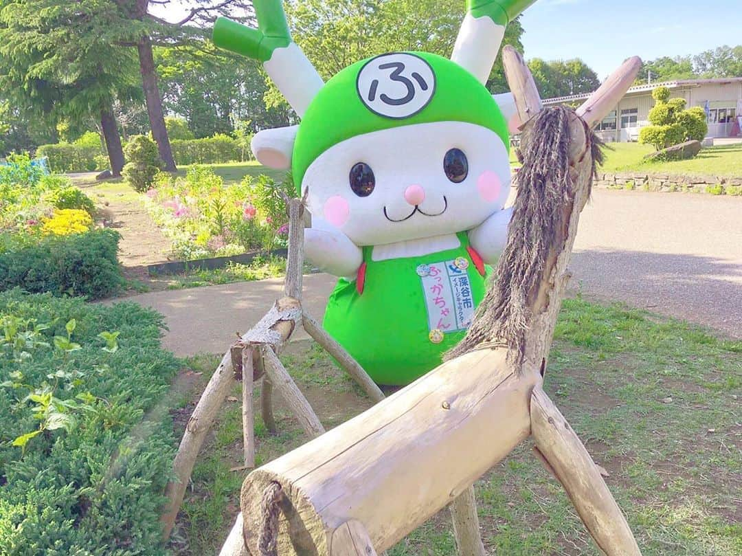 ふっかちゃんさんのインスタグラム写真 - (ふっかちゃんInstagram)「はろぉ！Y(o^ω^o)Y 今日はあっちぃから、お馬さんと一緒に日陰で休憩ちぅ♪  無理はしないで、こまめな休憩も大切だよぉ！Y(o˘ω˘o)Y ﻿ #ふっかちゃん #fukkachan #埼玉県深谷市 #深谷市 #深谷 #fukaya #ふかや緑の王国 #日陰 #ひとやすみ #緑のある生活 #自然がいっぱい #お花に癒される #心のオアシス だねぇY(*´ω｀*)Y」8月4日 13時48分 - fukkachan628