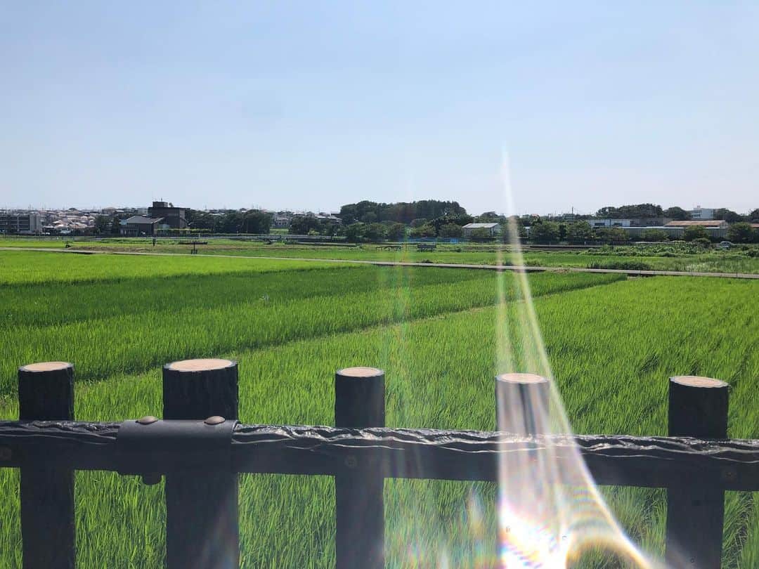 サイプレス上野さんのインスタグラム写真 - (サイプレス上野Instagram)「中華街で有名な横浜市です。#レペゼン横浜市です」8月4日 13時47分 - resort_lover