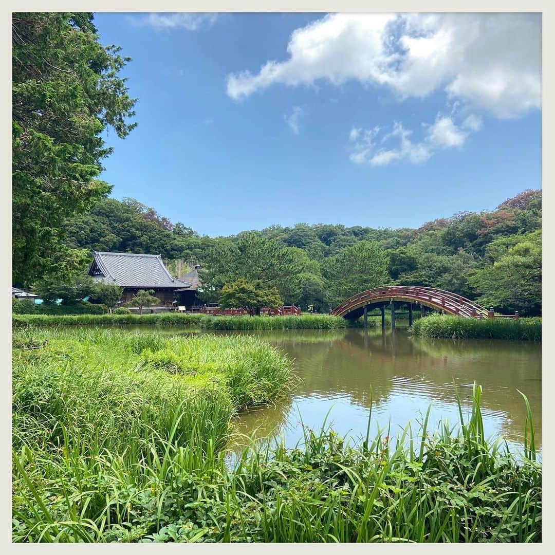 kumikoのインスタグラム：「程よく曇ってて気持ち良かったのでそのままチャリで少し遠出。 帰りは灼熱🔥」