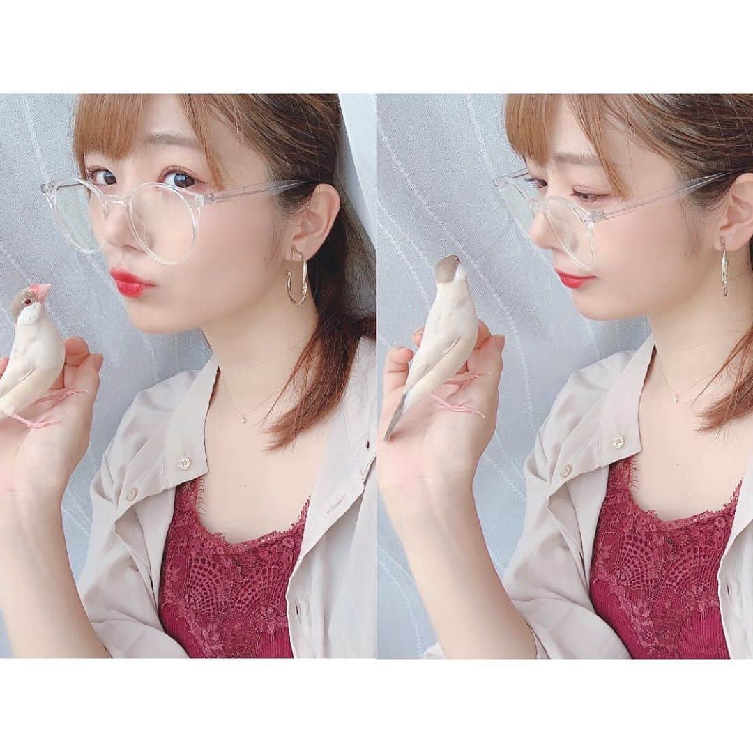 長谷川かすみのインスタグラム：「おマヨと私。  夏なのでクリアフレームのメガネ👓 最近はオーバーサイズをよく掛ける🙆‍♀️ 小顔効果！！！！  そして今日はなんとなく可愛いよりカッコいい感じのお洋服にしてみた🤲  grasses→ @tres.jewelry  shirt→ @grl_official  inner→ @archives__official  necklace→ @canal4_official  earring→？  文鳥→マヨ( @mayo.stagram )」