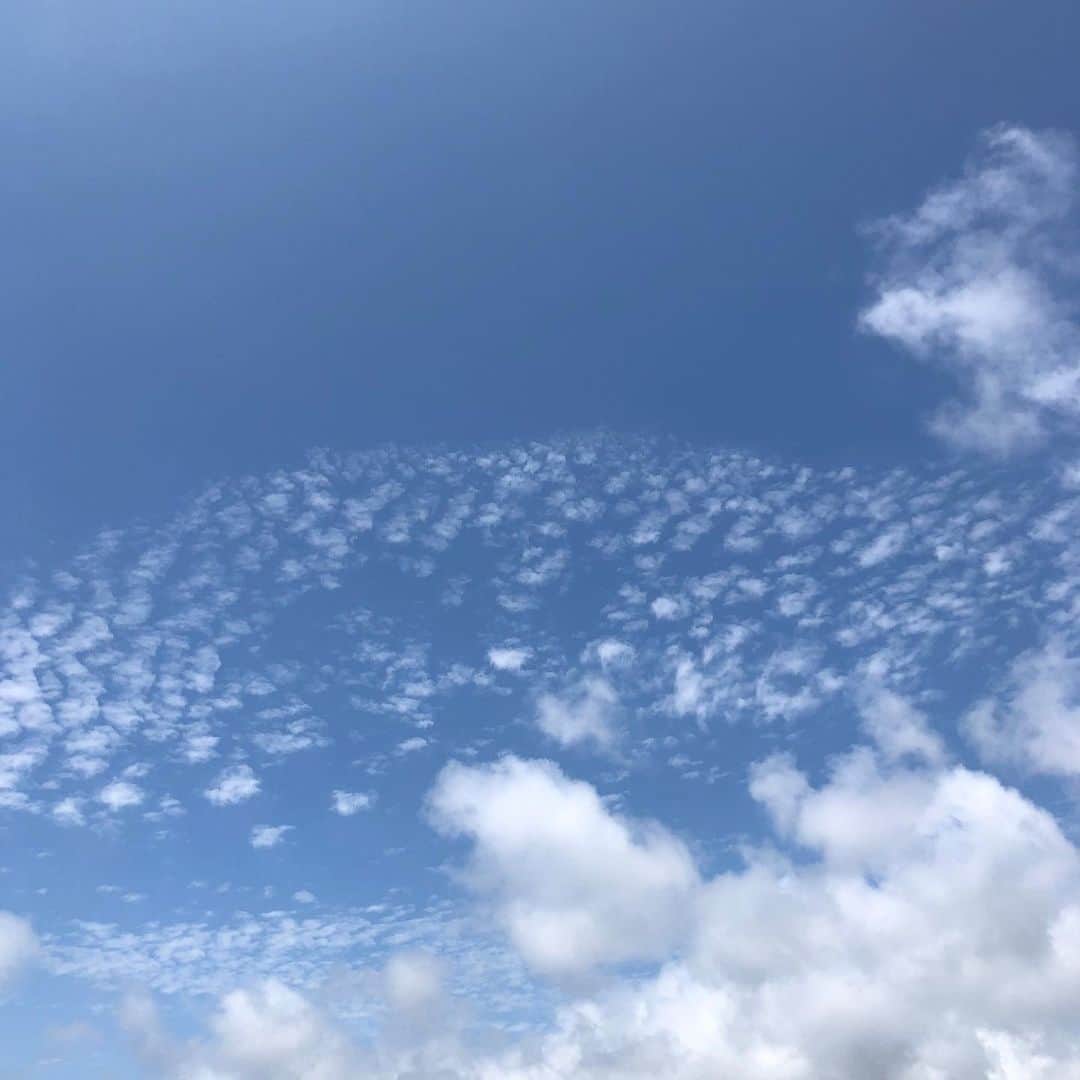 奥山佳恵さんのインスタグラム写真 - (奥山佳恵Instagram)「. あまりにも 空の青さが 雲の白が  美しくてうっとり！  見上げていたら 飛行機までもが仲間入り  なんて書くと ゆとりのある 生活のようですが  今日も安定のドタバタ笑  ２０分で制作したセルフネイルが どんな風に仕上がったかは 更新したブログに☆  @okuyama_yoshie ←ここを経由して いつも書いてるブログにとべます  #奥山佳恵#奥山佳恵のてきとう絵日記  #ドタバタ #セルフネイル #ジェルネイル  #時間がない  空を見上げてる 場合じゃないけど  それもまた大切な時間 ・」8月4日 15時32分 - okuyama_yoshie