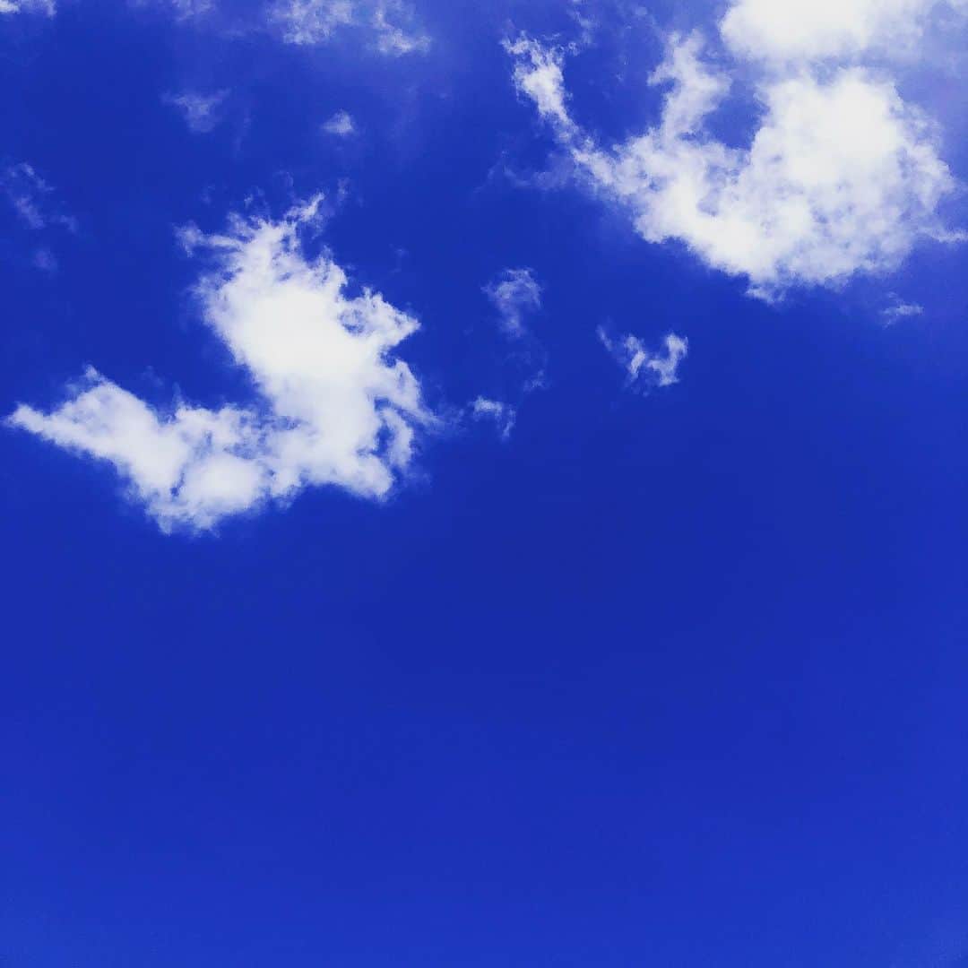 美沙玲奈のインスタグラム：「絵に描いたような青空なんだけど☀」