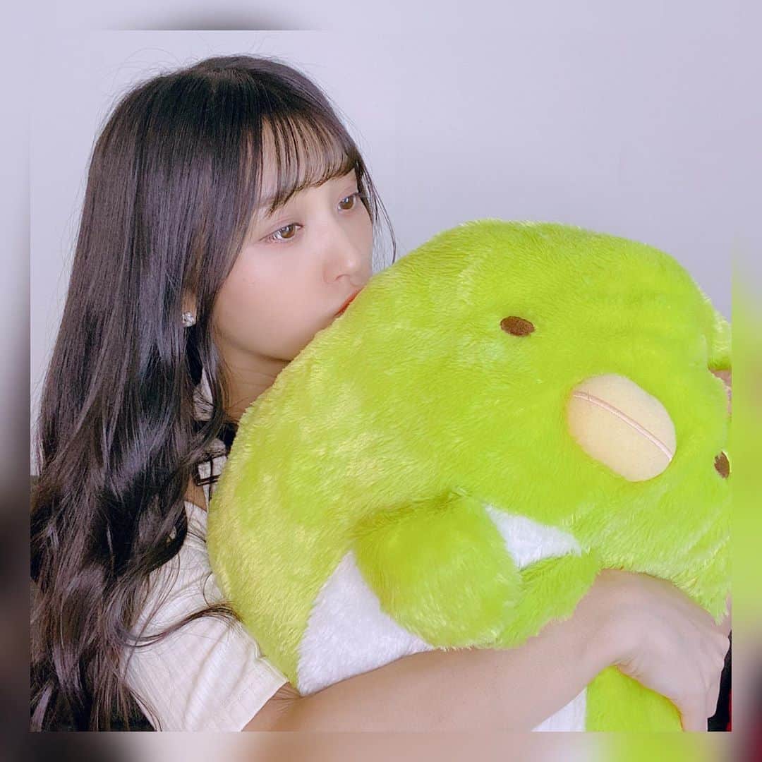 のインスタグラム：「🐧💕🐧 すみっコぐらし めちゃめちゃ好き 癒されるぅ〜 #すみっコぐらし #人形 #ぬいぐるみ #癒し #もふもふ」