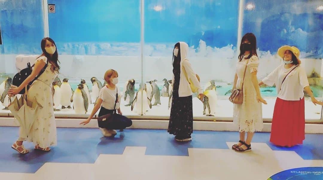 山脇千文美のインスタグラム：「外暑い〜🥵 #アドベンチャーワールド #ペンギン #ソーシャルディスタンス」