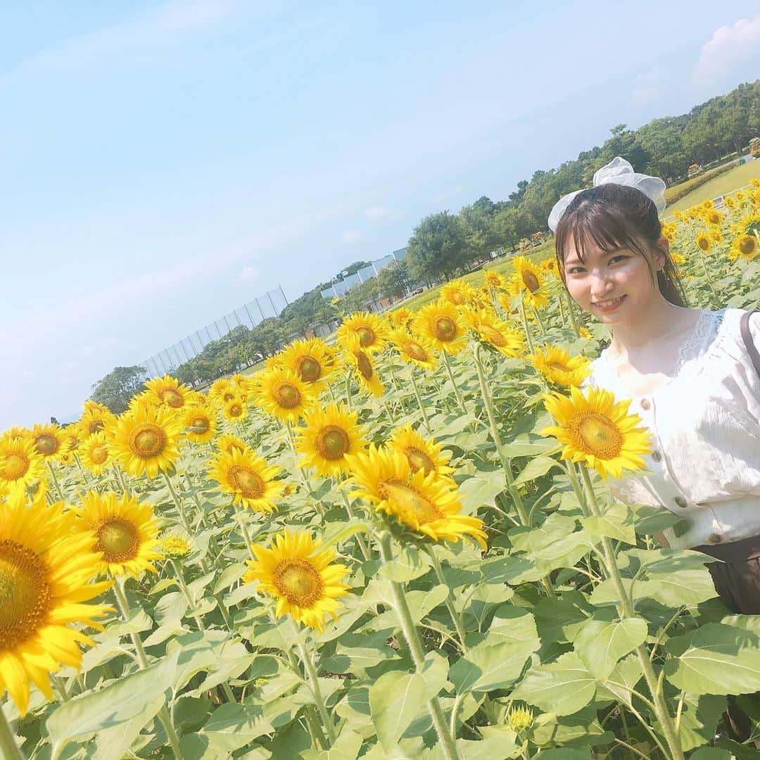 横道侑里さんのインスタグラム写真 - (横道侑里Instagram)「今日はぱぱとガーデンパークに大好きなひまわり見に行ってきました🌻 可愛すぎた❤️✨まだ若くて元気で見頃だったぞーい！ あっつかったけど、癒された…」8月4日 16時24分 - sideroad615