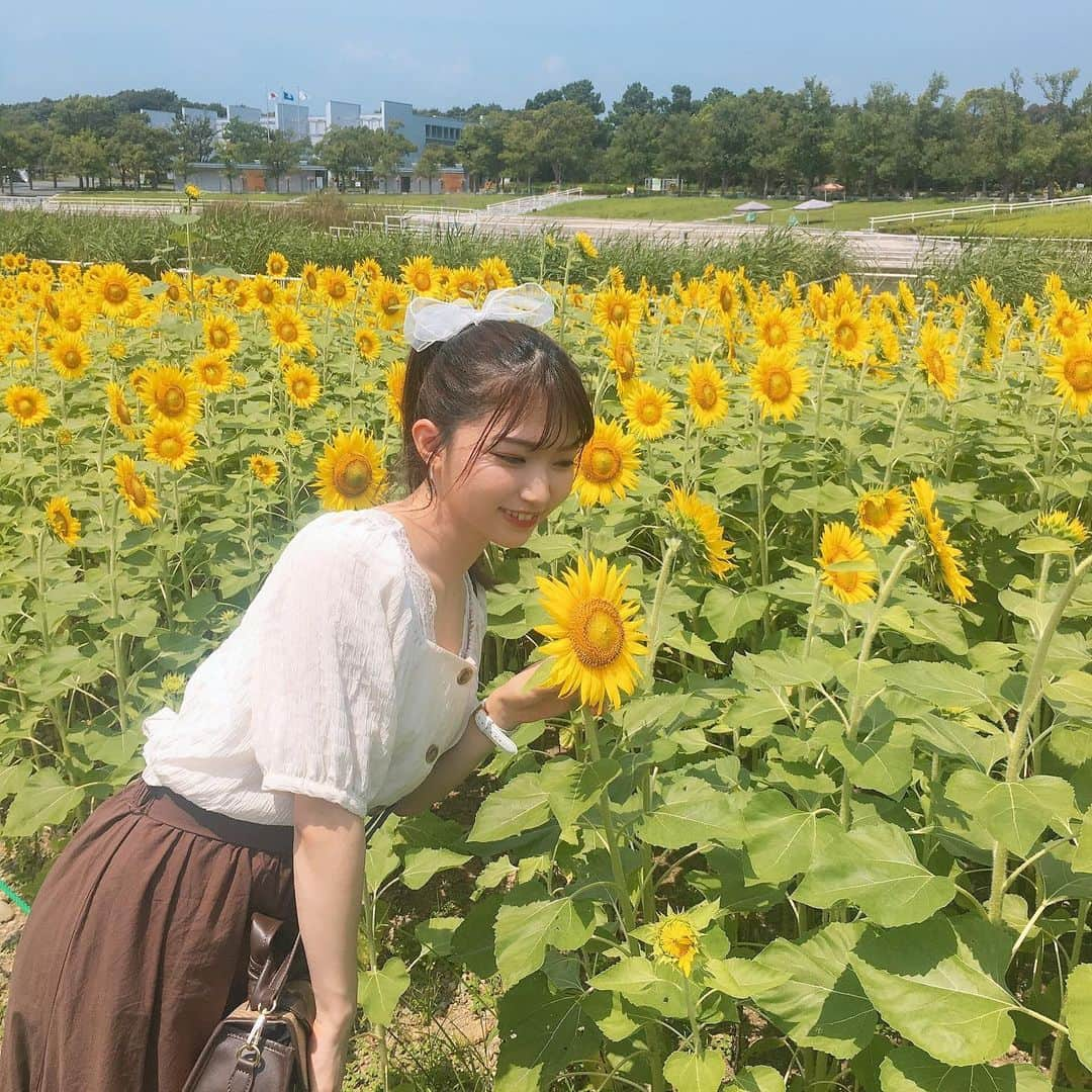 横道侑里さんのインスタグラム写真 - (横道侑里Instagram)「今日はぱぱとガーデンパークに大好きなひまわり見に行ってきました🌻 可愛すぎた❤️✨まだ若くて元気で見頃だったぞーい！ あっつかったけど、癒された…」8月4日 16時24分 - sideroad615