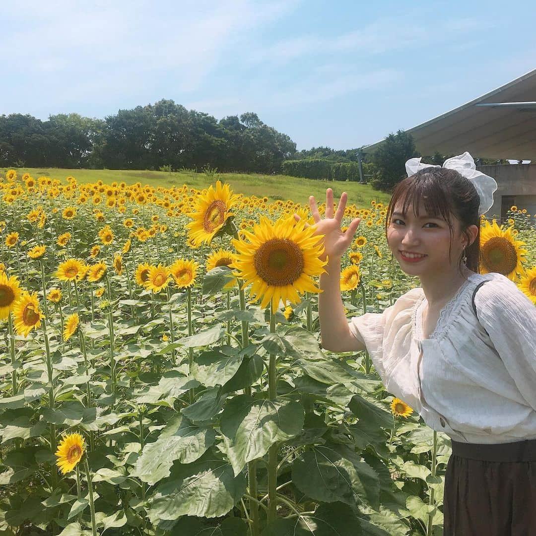 横道侑里さんのインスタグラム写真 - (横道侑里Instagram)「今日はぱぱとガーデンパークに大好きなひまわり見に行ってきました🌻 可愛すぎた❤️✨まだ若くて元気で見頃だったぞーい！ あっつかったけど、癒された…」8月4日 16時24分 - sideroad615